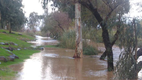 גשמי ברכה: השבוע נעבור את 50% מהממוצע העונתי