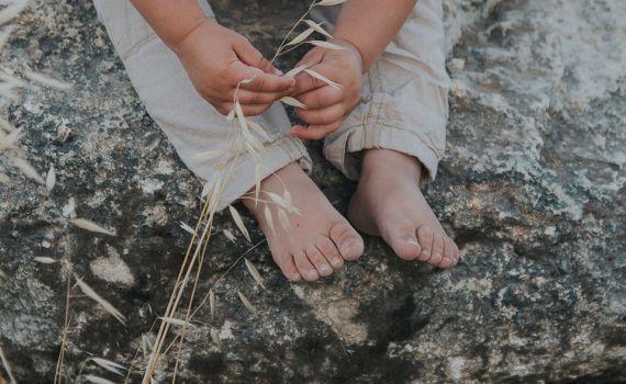 מכבים שריפות: המיזמים המרגשים למען נפגעי השריפה