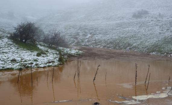 צפו: הזרימות החזקות בשלוש השנים האחרונות