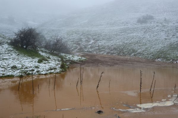 צפו: הזרימות החזקות בשלוש השנים האחרונות