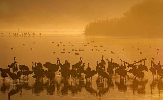 גלריה מהממת: אחרי הסערה באגם החולה