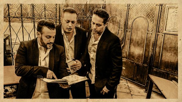 צפו: הפרויקט של רביבו מתחזקים