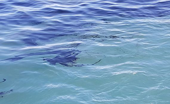 זיהום ימי: כתם שמן התגלה בחופי אשדוד