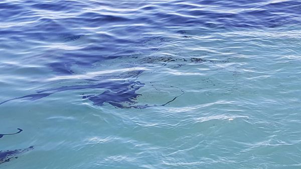 זיהום ימי: כתם שמן התגלה בחופי אשדוד