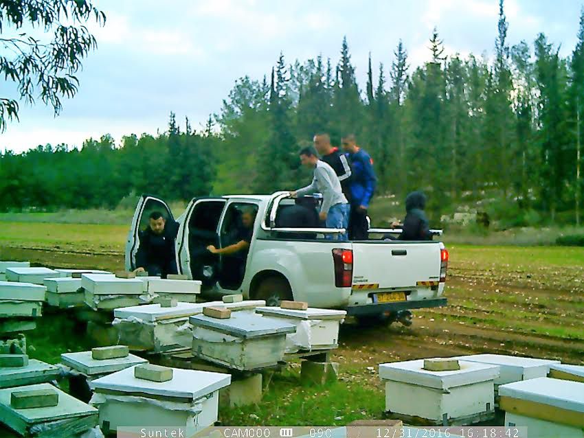 צפו: הדרך הגאונית בה תפס החקלאי את הגנבים