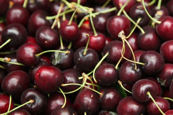 שו"ת: ברכת שהחיינו על פרי חדש בחוץ לארץ