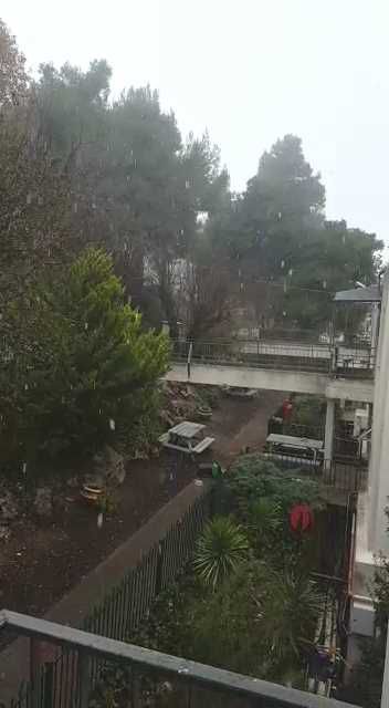 שלג ראשון החל לרדת בגליל העליון. צפו