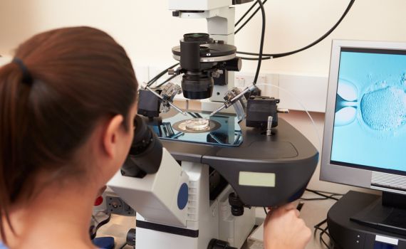 איך מונעים טעות בהפריה חוץ גופית? הפוענית