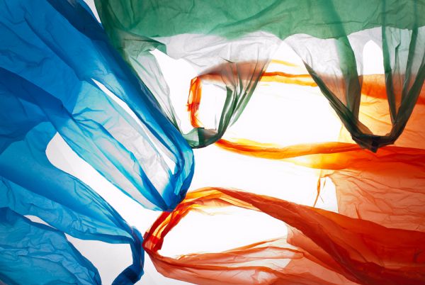 ויראלי: מציפים את הרשת בשקיות