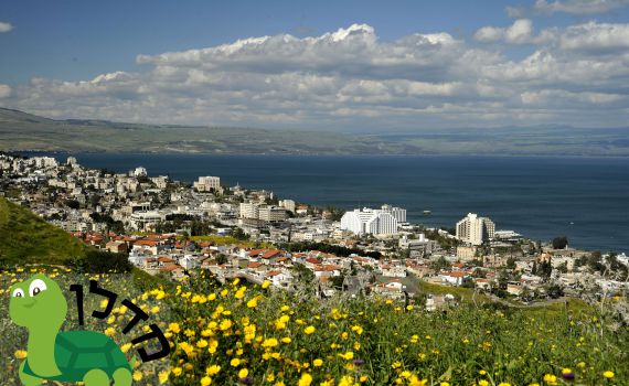 מה מתוכנן לשוק הדירות בעיר טבריה? • ניתוח נדל"ן