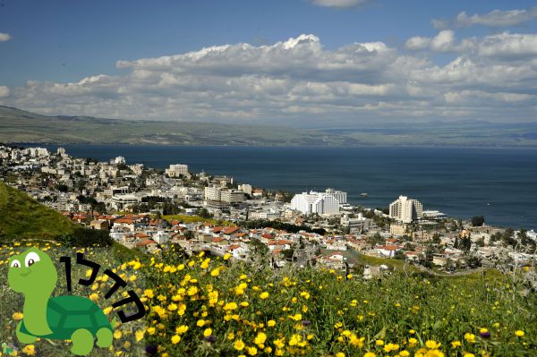 מה מתוכנן לשוק הדירות בעיר טבריה? • ניתוח נדל"ן