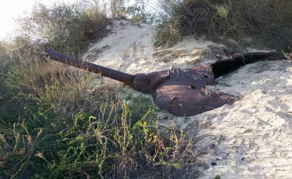 ילד מצא טנק ישן קבור בחולות ניצנים