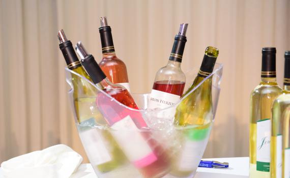 אור רייכרט לוגם: רואים ושותים עולם