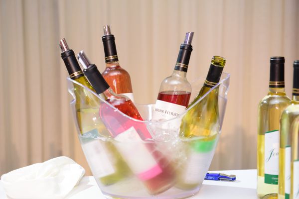 אור רייכרט לוגם: רואים ושותים עולם