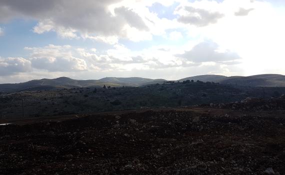 ההווי ישראלי המחיר שפוי: נווה דרור –  כל מה שצריך