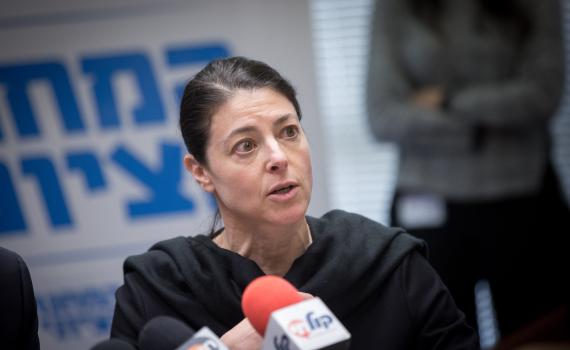 מרב מיכאלי: חוק ההסדרה הוא כמו היתר לפדופיליה