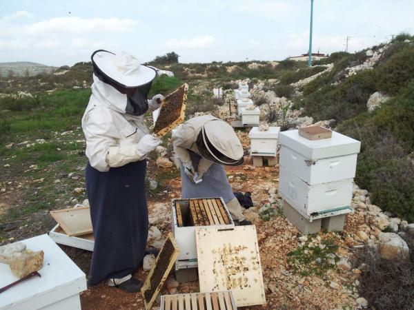 לא רק יין בישע, עכשיו גם דבש​!