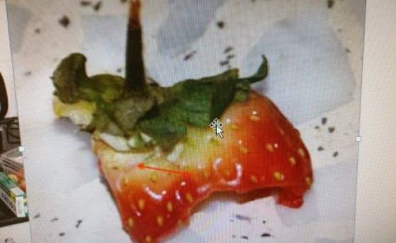 'הגנב שאהב תות': נתפס בגלל שאריות שהותיר אחריו