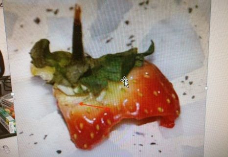 'הגנב שאהב תות': נתפס בגלל שאריות שהותיר אחריו