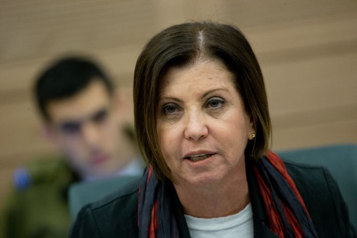 "לא יחזור על עצמו": גלאון חזרה בה מתמונה שפרסמה