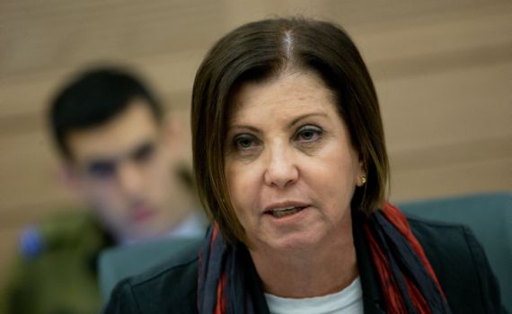 "לא יחזור על עצמו": גלאון חזרה בה מתמונה שפרסמה