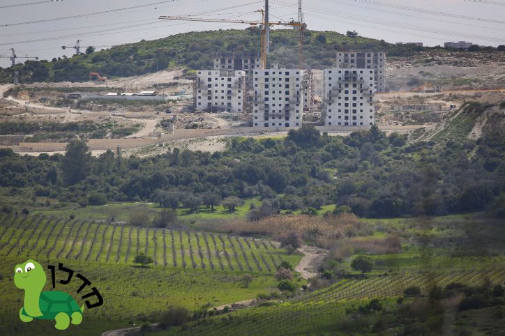 מחסור בדירות? הערים שדווקא הגדילו את ההיצע