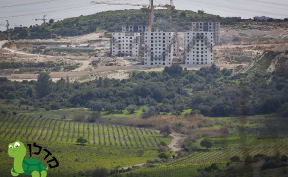 מחסור בדירות? הערים שדווקא הגדילו את ההיצע