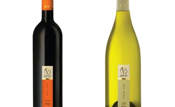 אור רייכרט לוגם: שני הבקבוקים האחרונים לסדר