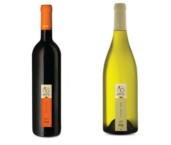 אור רייכרט לוגם: שני הבקבוקים האחרונים לסדר