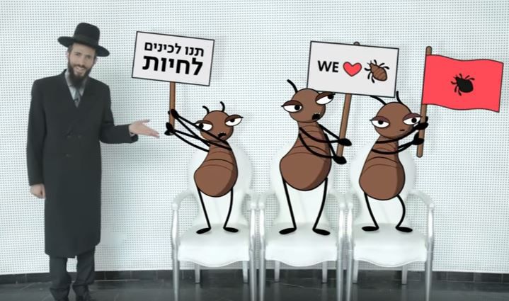 שו"ת מצולם: האם מותר להרוג כינים בשבת?