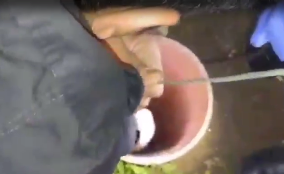 צפו: ילד בן 4 נפל לבור וחולץ באמצעות מוט ללכידת בעלי חיים