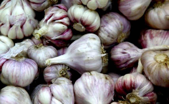 אזהרה: בעקבות בדיקת מעבדה: בדקו את השום