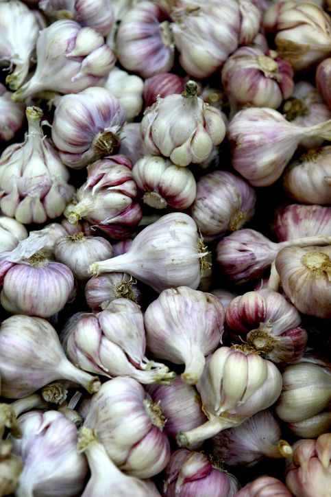 אזהרה: בעקבות בדיקת מעבדה: בדקו את השום