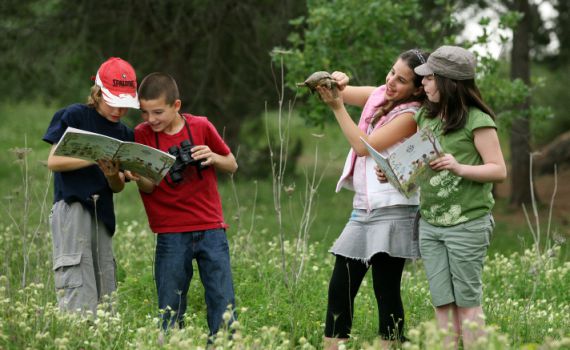 אחרי הזיקוקים ולפני המנגל: טיולים שווים ליום העצמאות