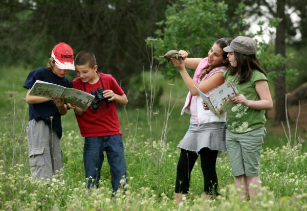 אחרי הזיקוקים ולפני המנגל: טיולים שווים ליום העצמאות