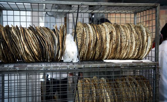 צפו: כך תמצו את החיים במקום להחמיץ אותם