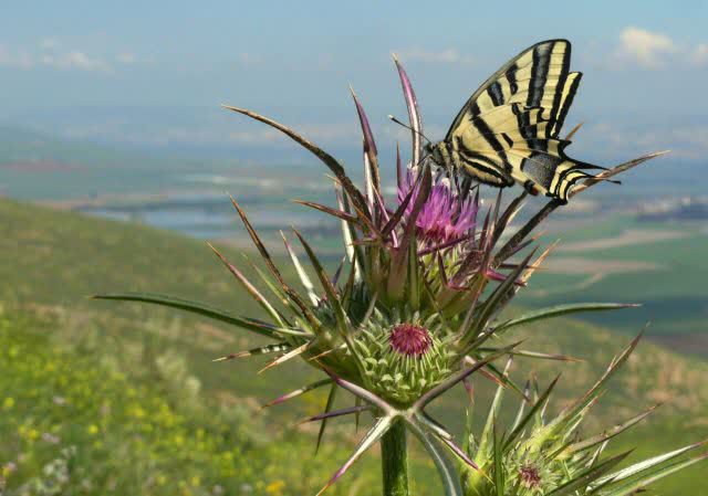 עדין מתלבטים? בואו לגלות את המקומות הכי יפים בארץ