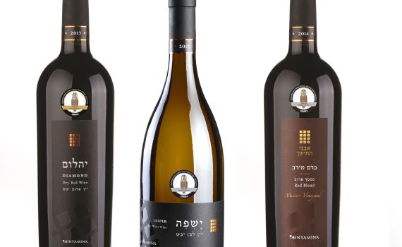 אור רייכרט לוגם: יקב בנימינה – נוצץ על השולחן