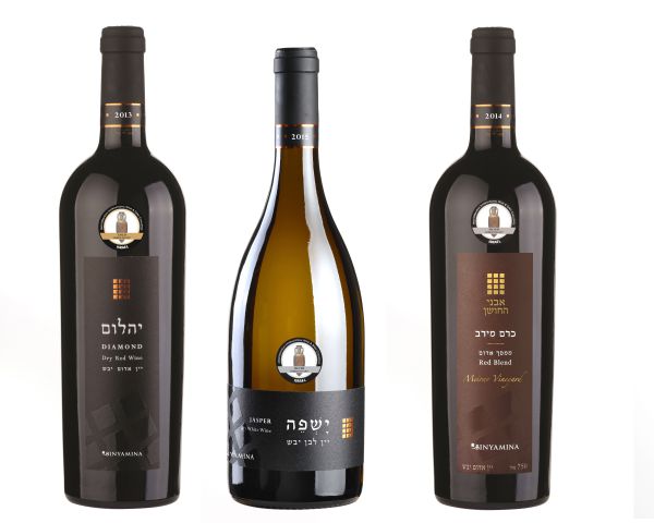 אור רייכרט לוגם: יקב בנימינה – נוצץ על השולחן