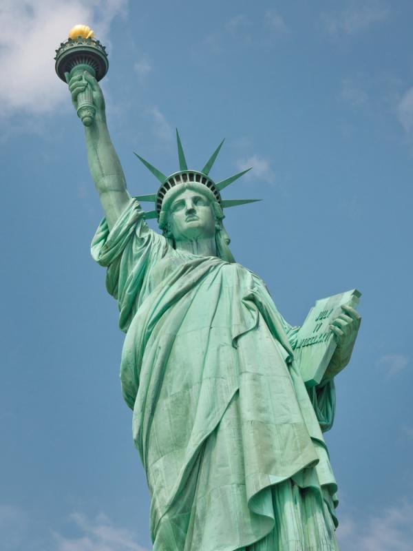 ניו יורק: חייל צה"ל לשעבר נבחר לבית המחוקקים במדינה