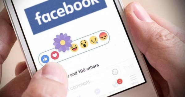 קיבלתם פרח סגול בפייסבוק? אל תתלהבו…