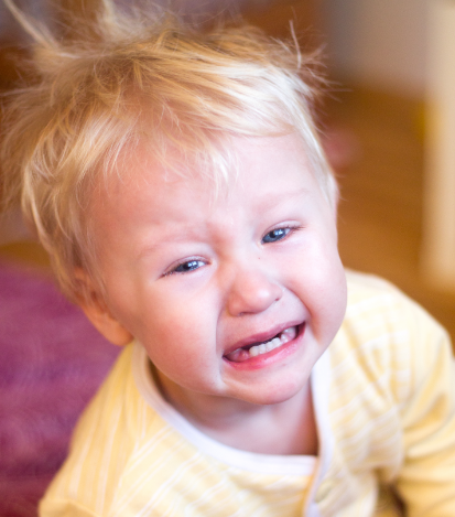 30 ילדי מעון אמונה נדבקו בסלמונלה, 2 פונו לביה"ח