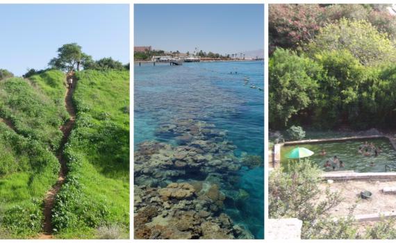 לא תאמינו מה אפשר למצוא מטר מהמלון