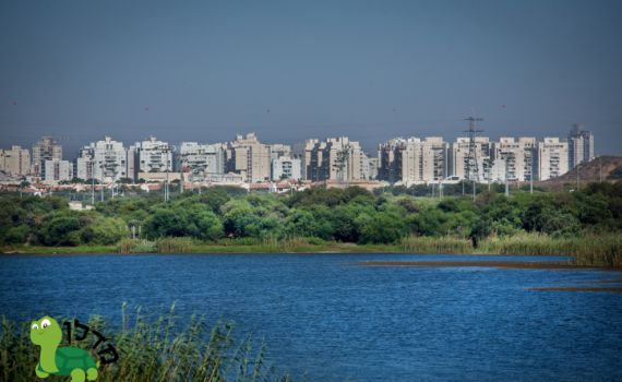 שברו שיא: השכונות עם התשואה הגבוהה ביותר למשקיעים בשנה האחרונה