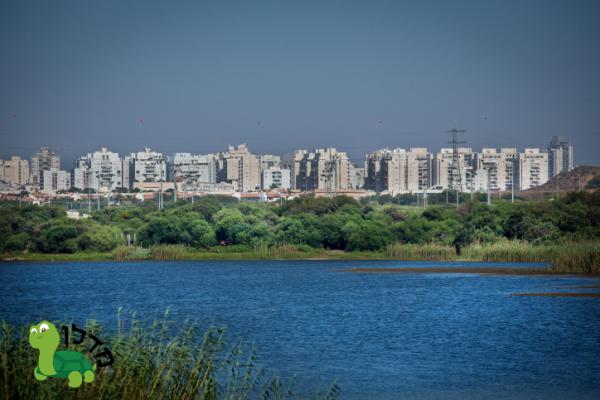 שברו שיא: השכונות עם התשואה הגבוהה ביותר למשקיעים בשנה האחרונה
