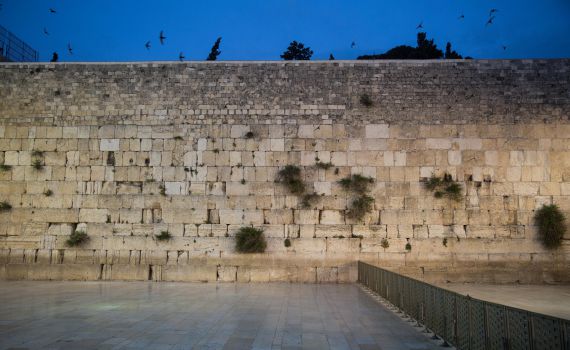 הכותל הדרומי? פני הדור כפני הכותל