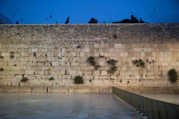 הכותל הדרומי? פני הדור כפני הכותל