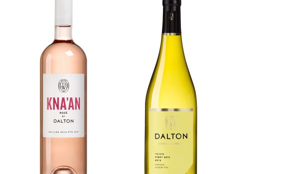 אור רייכרט לוגם: גבינה, יין ותיקון ליל שבועות