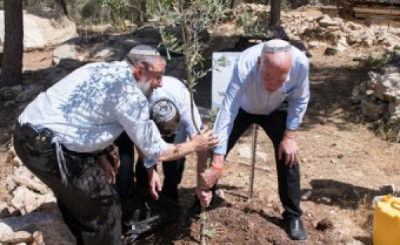 "3 המשפחות הכי אצילות הצליחו לאחד את כל העם"