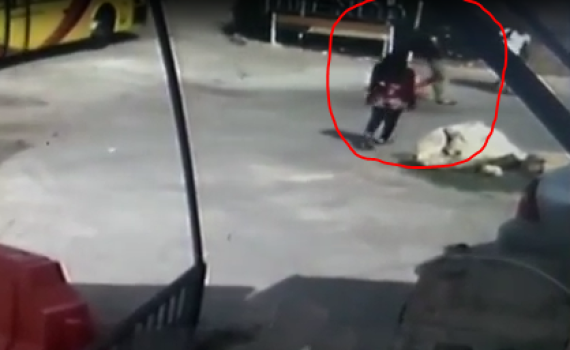 תיעוד: בצה"ל שוקלים להדיח לוחם שברח ממחבלת